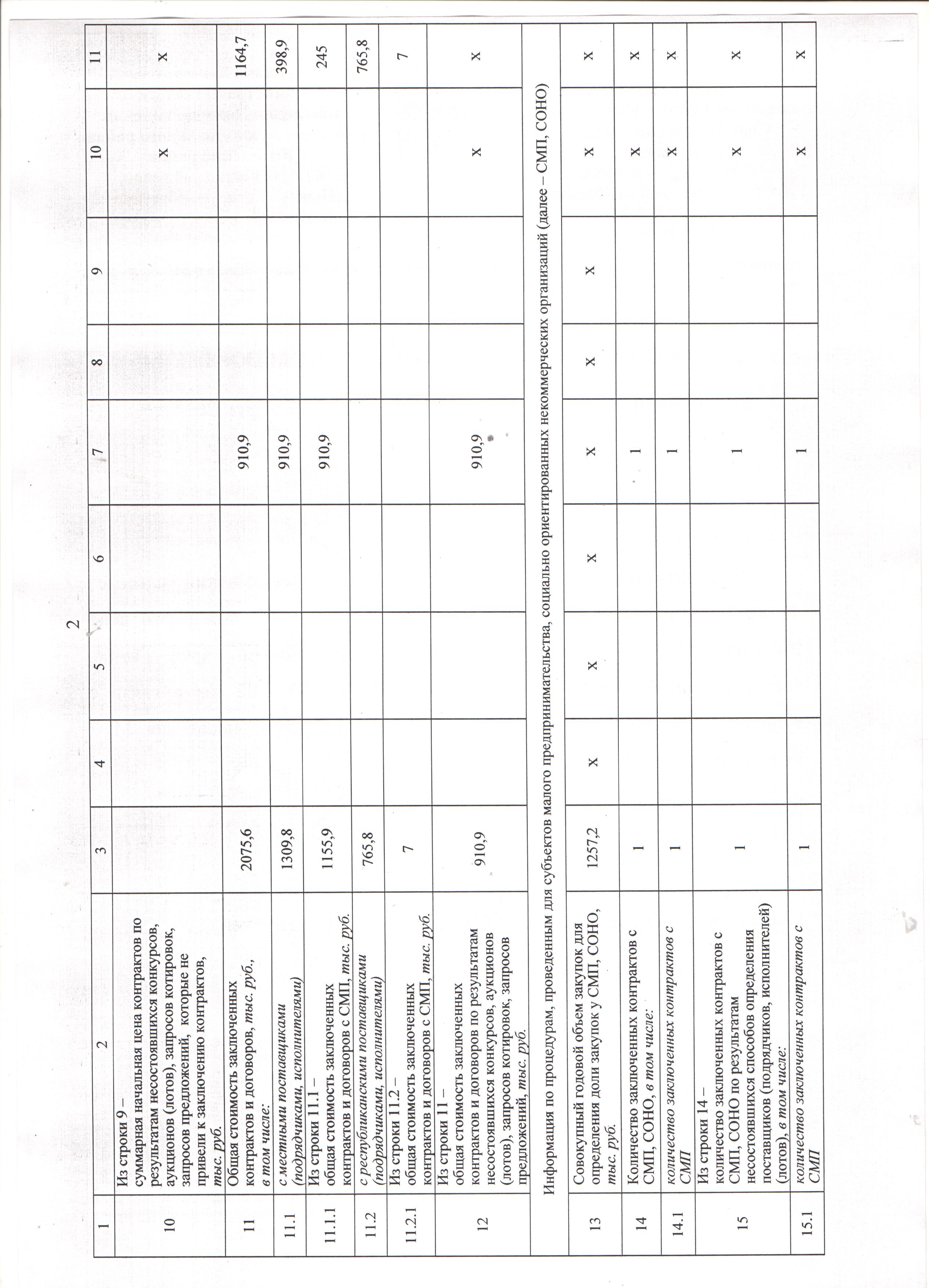 сведения об осуществлении закупок Нижнекигинский сс 2 стр 001